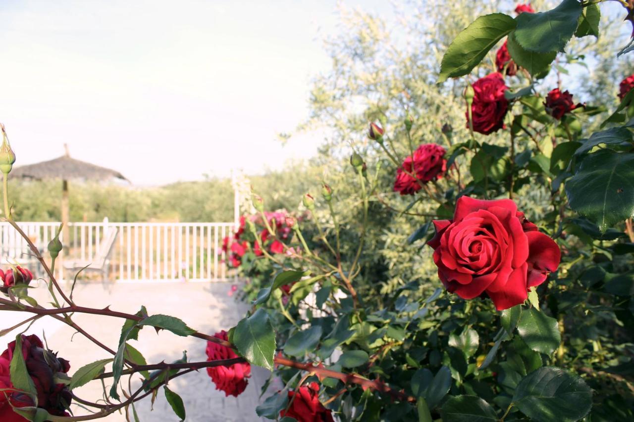 Casa De La Noria Villa Carcabuey ภายนอก รูปภาพ