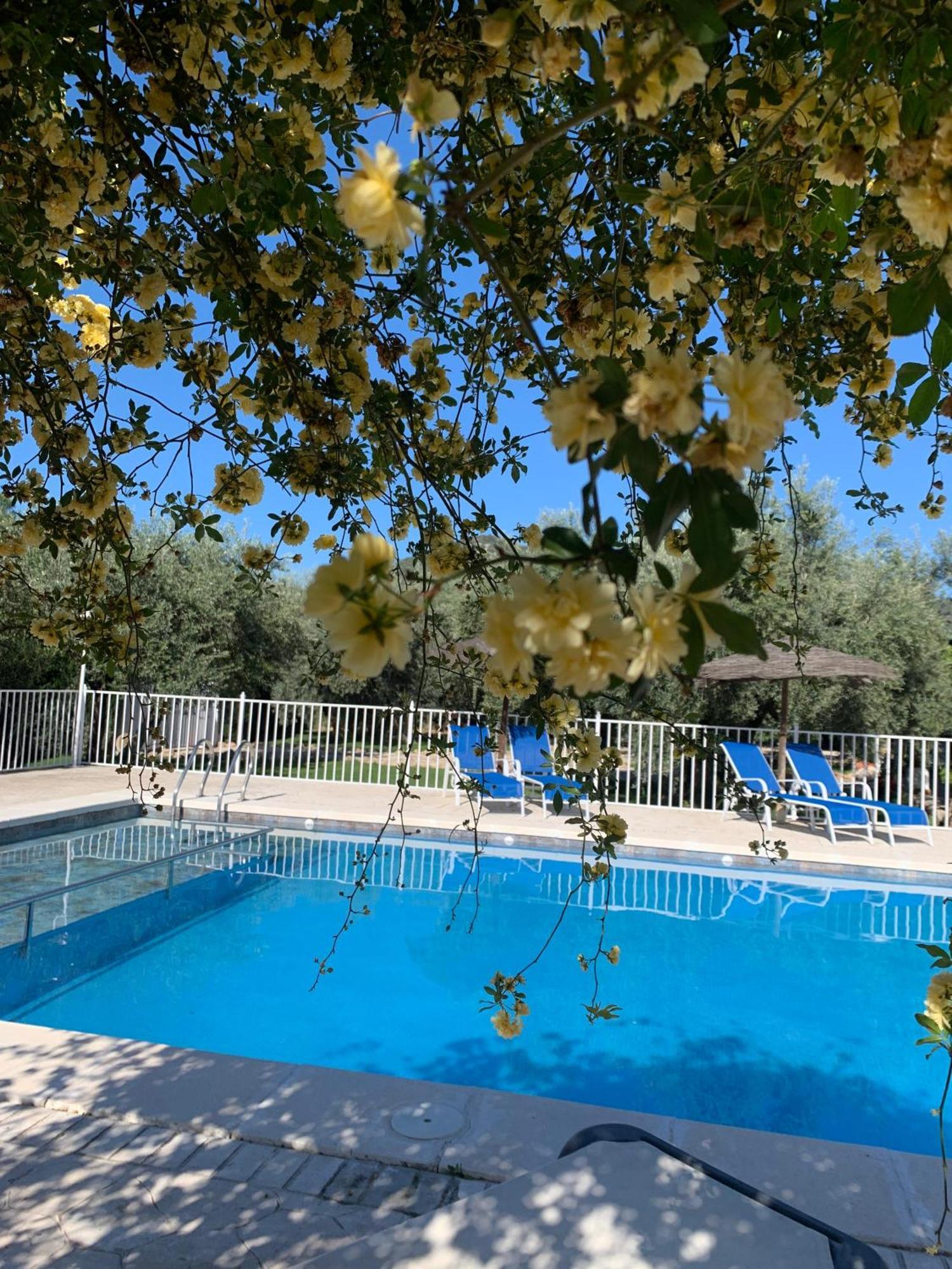 Casa De La Noria Villa Carcabuey ภายนอก รูปภาพ